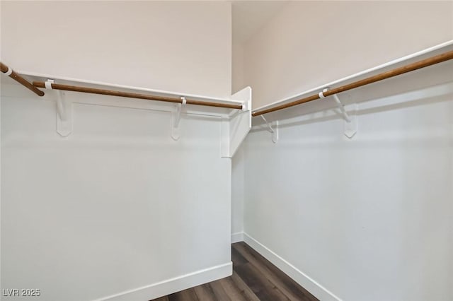 walk in closet with dark wood-type flooring