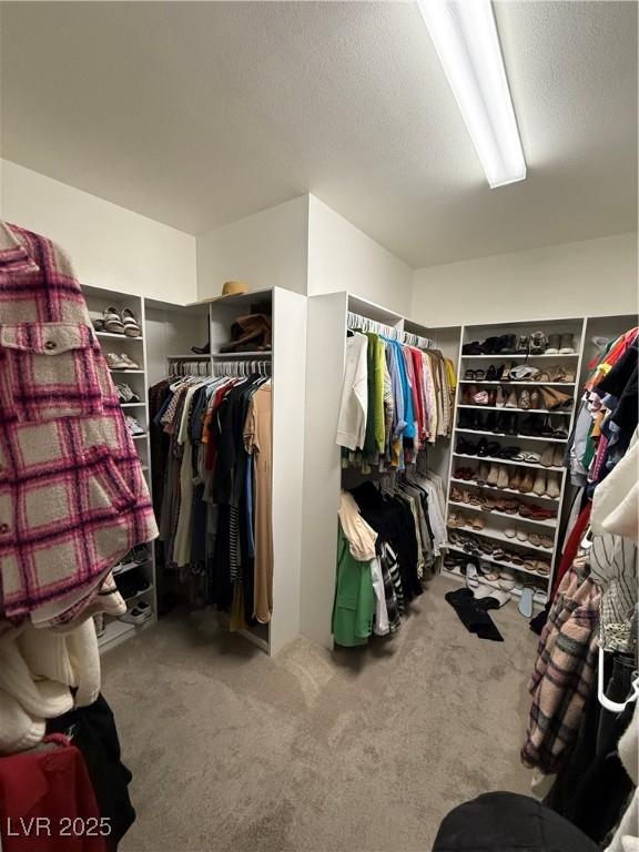 walk in closet featuring carpet