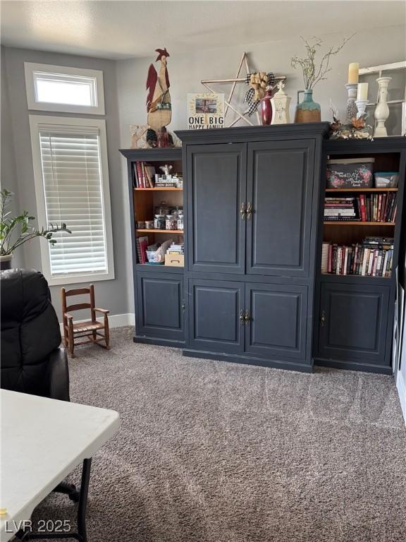 interior space with carpet and baseboards