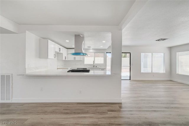 kitchen with a sink, a wealth of natural light, island exhaust hood, and visible vents