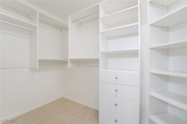 spacious closet featuring light wood-style floors