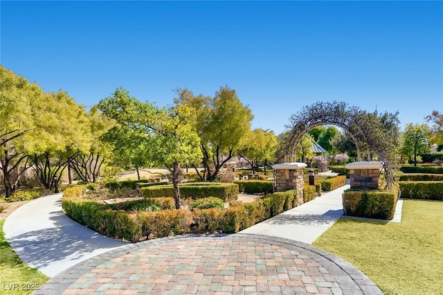 view of community with a lawn