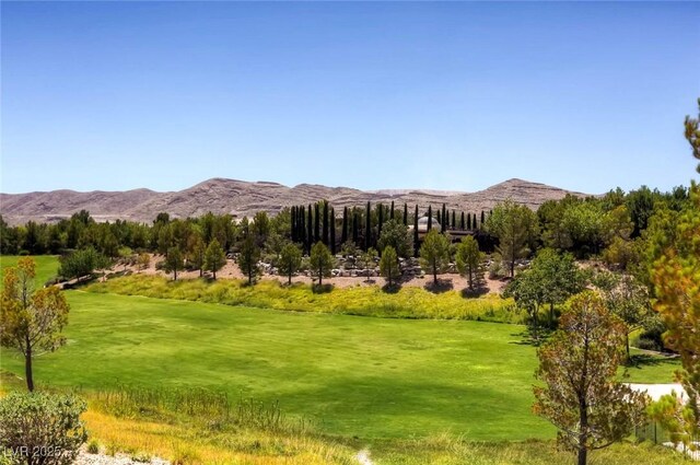 4087 Villa Rafael Dr, Las Vegas, NV 89141 - photo 77
