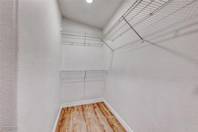 walk in closet with lofted ceiling and wood finished floors