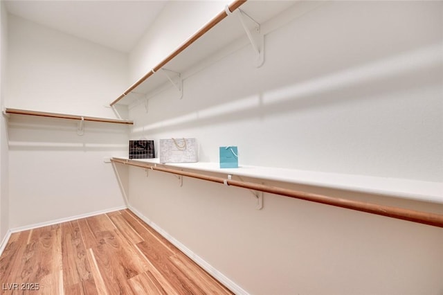 walk in closet with light wood-style floors