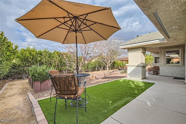 view of yard featuring a patio