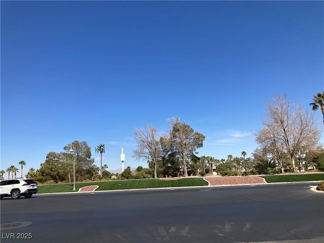 view of road featuring curbs