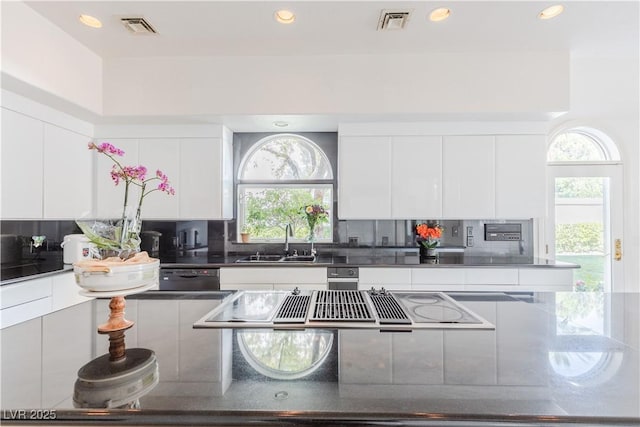 kitchen featuring modern cabinets, visible vents, and a sink