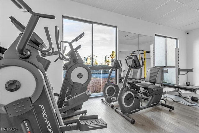 workout area featuring wood finished floors