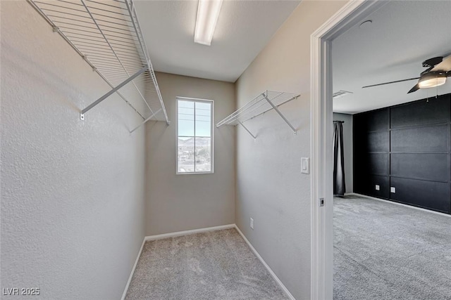 walk in closet with carpet floors and a ceiling fan