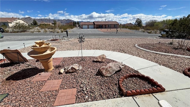 view of yard featuring a mountain view