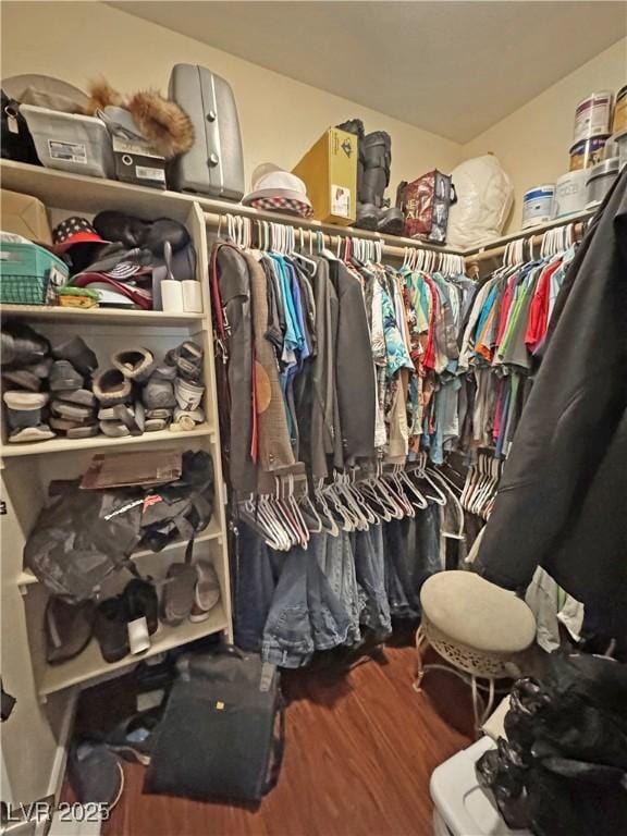 spacious closet with wood finished floors