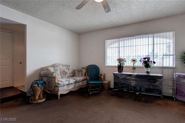 sitting room with carpet, a textured ceiling, and plenty of natural light