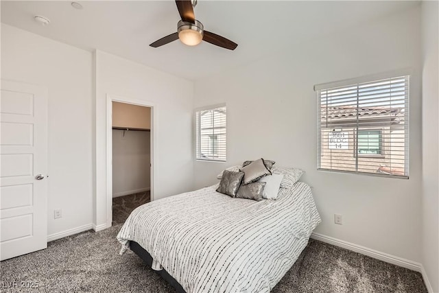 bedroom with baseboards, ceiling fan, a walk in closet, carpet floors, and a closet