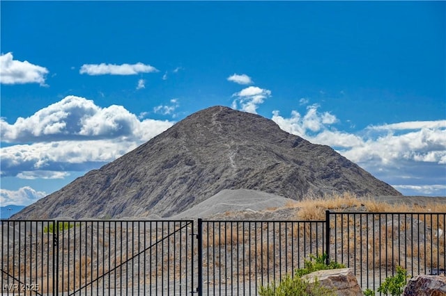 view of mountain feature