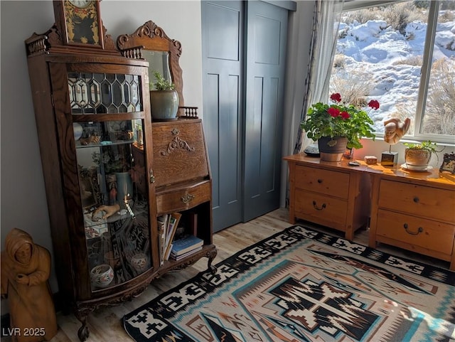 interior space featuring light wood-style flooring