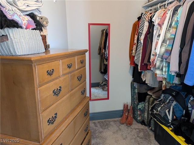 spacious closet featuring carpet