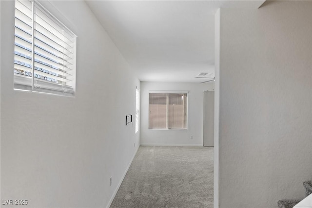 hall featuring plenty of natural light, carpet, and baseboards