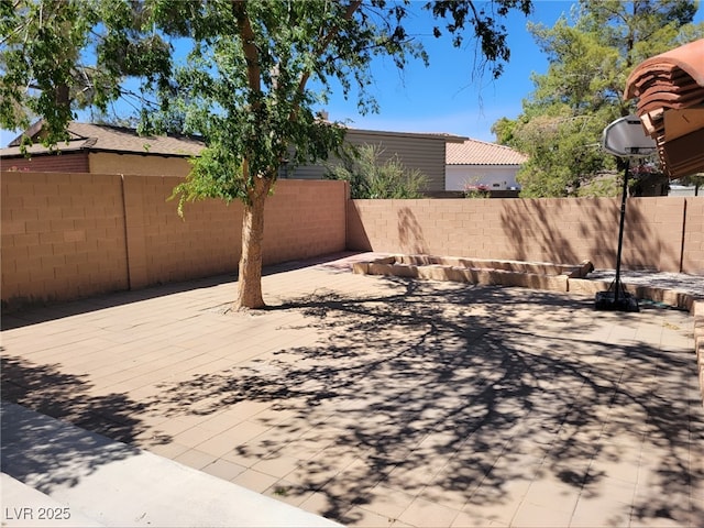 view of yard with a fenced backyard and a patio