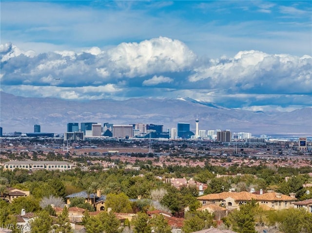 property's view of city featuring a mountain view