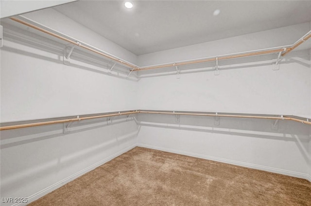 spacious closet with carpet