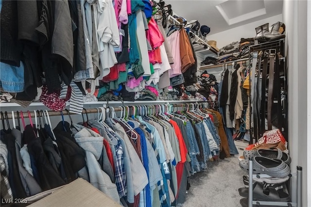 walk in closet featuring carpet flooring and attic access