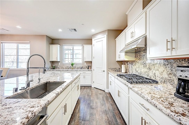 kitchen with under cabinet range hood, stainless steel appliances, a sink, visible vents, and dark wood finished floors