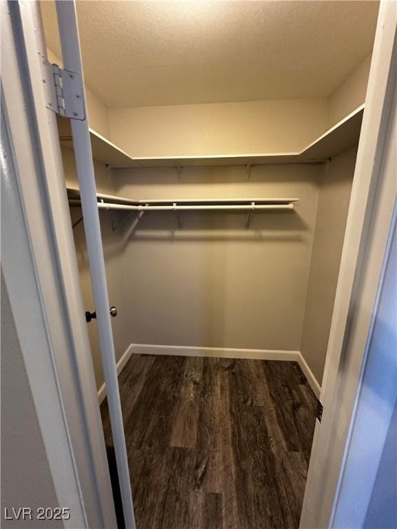 walk in closet with wood finished floors