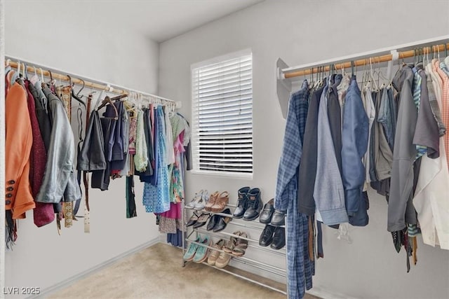 view of spacious closet