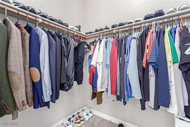 spacious closet with carpet floors