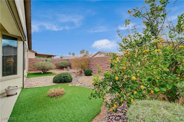 view of yard featuring a fenced backyard and a patio