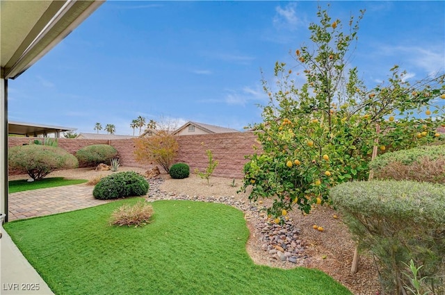 view of yard with a patio and a fenced backyard