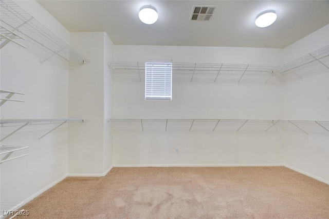 spacious closet featuring visible vents and carpet floors