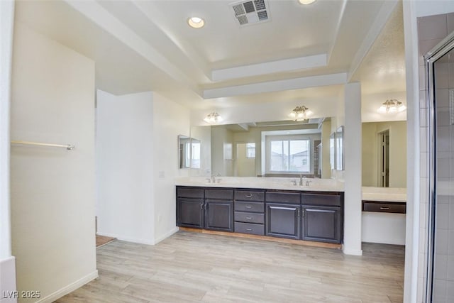 bathroom with visible vents, double vanity, wood finished floors, a raised ceiling, and a sink