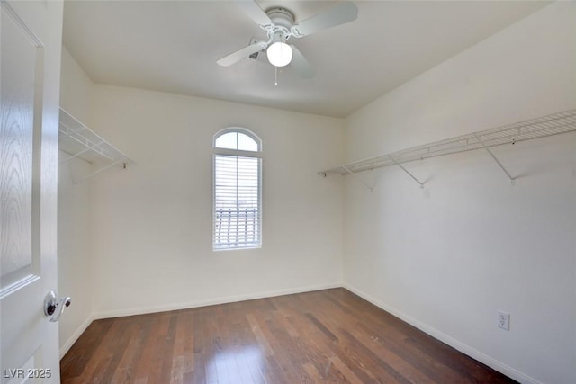 spacious closet featuring ceiling fan and wood finished floors