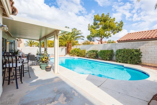 view of swimming pool with a patio, a fenced backyard, and a fenced in pool