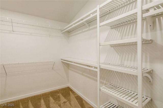 walk in closet featuring carpet floors