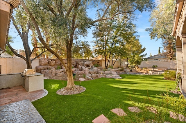 view of yard featuring a patio area and a fenced backyard