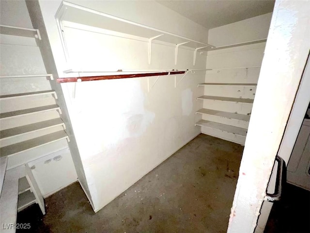 view of walk in closet