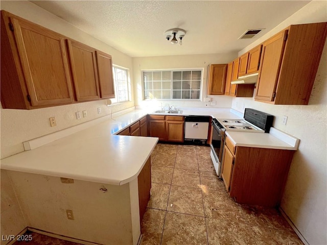 kitchen featuring visible vents, electric stove, under cabinet range hood, a sink, and dishwasher