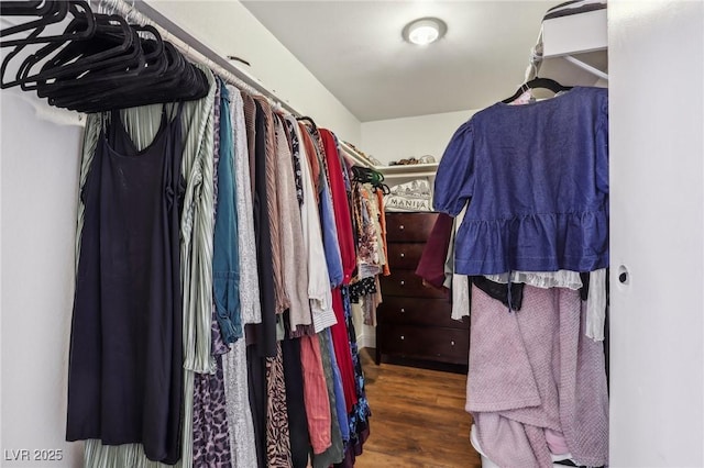 walk in closet with wood finished floors