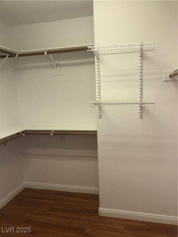 spacious closet featuring dark wood finished floors