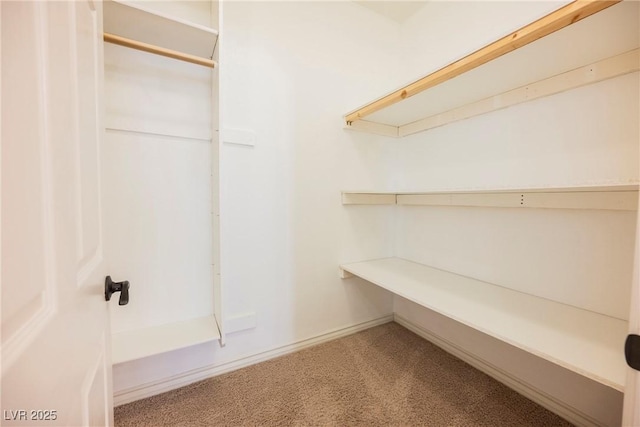 walk in closet featuring carpet flooring