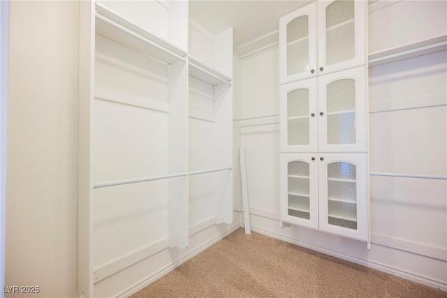 spacious closet with light colored carpet