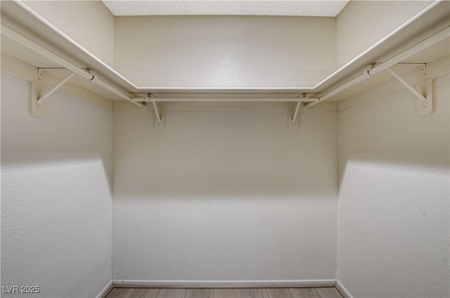 walk in closet featuring wood finished floors