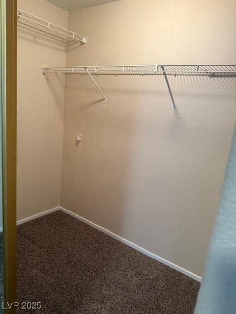 spacious closet featuring carpet flooring