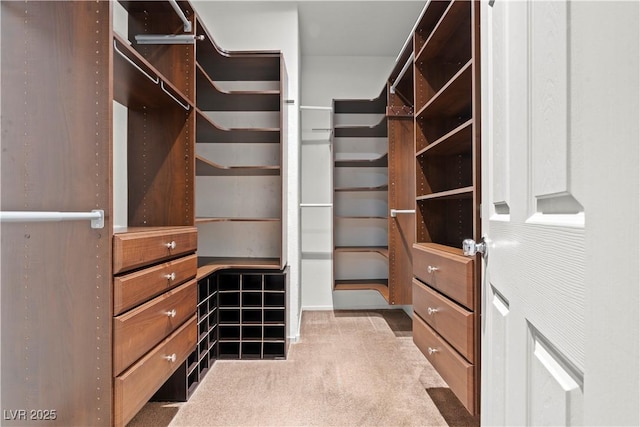 spacious closet with carpet floors