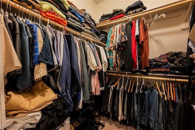 walk in closet featuring carpet flooring