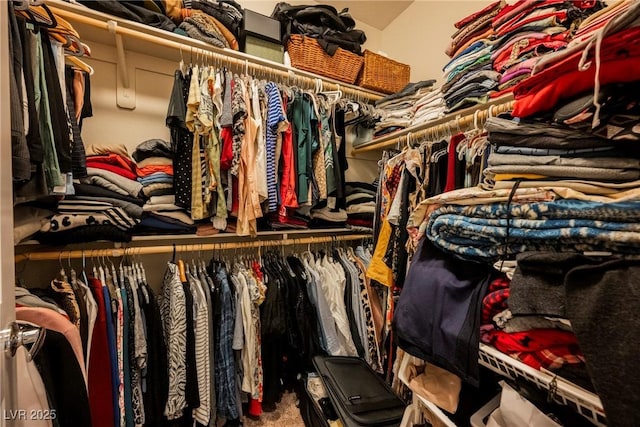 spacious closet with carpet flooring