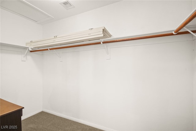 walk in closet with visible vents and carpet